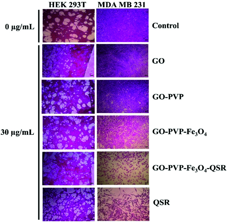 Fig. 12