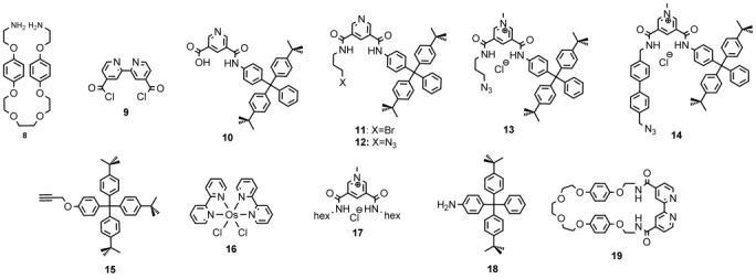 Scheme 2