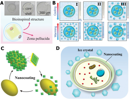 Figure 14