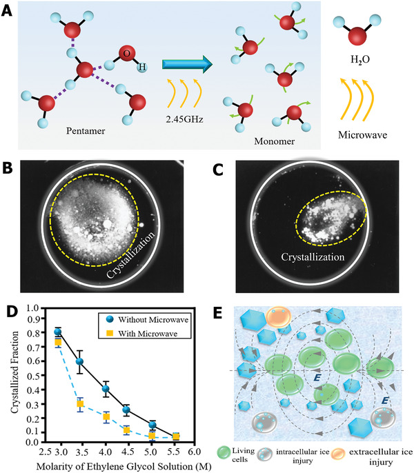 Figure 19