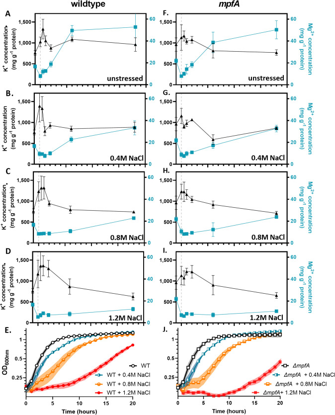 FIG 3