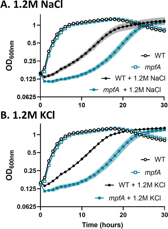 FIG 1