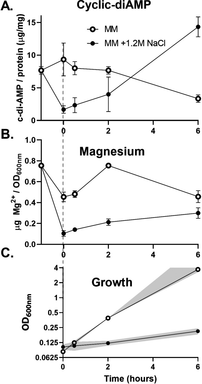 FIG 6