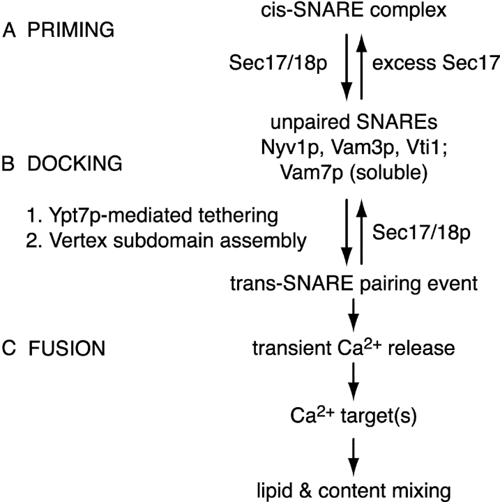 Figure 10.