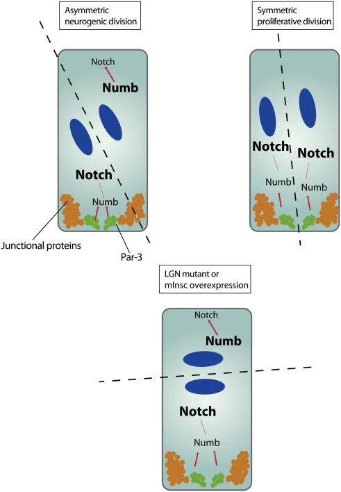 Figure 10.