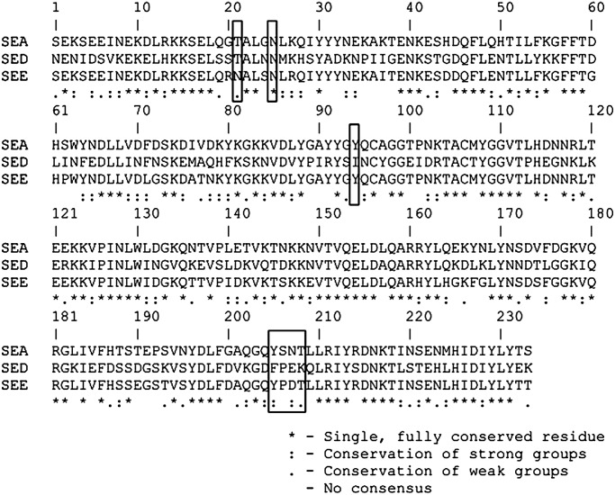 Fig. 7.