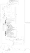 FIG 2
