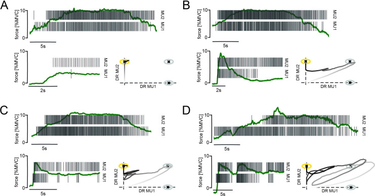 Figure 6—figure supplement 1.