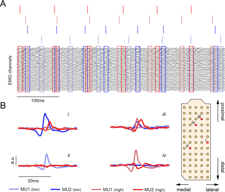 Figure 1—figure supplement 1.