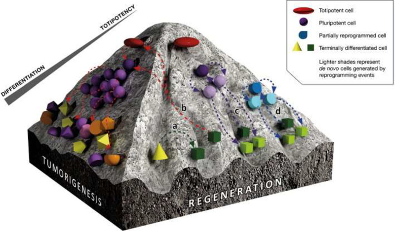 Figure 2.