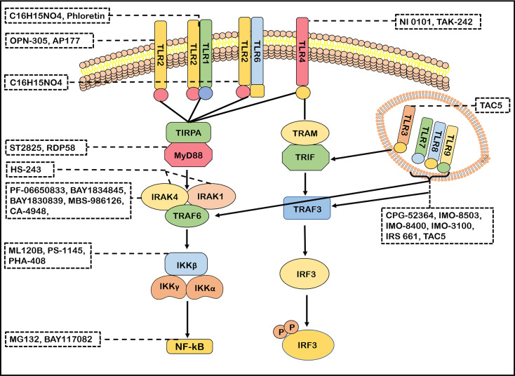 Figure 3