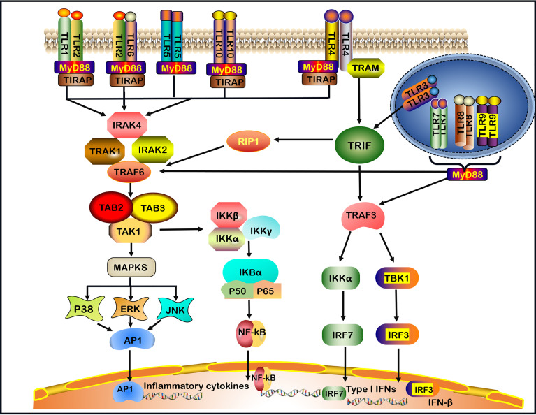 Figure 1