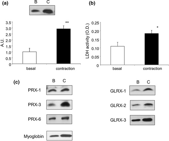 Fig. 3