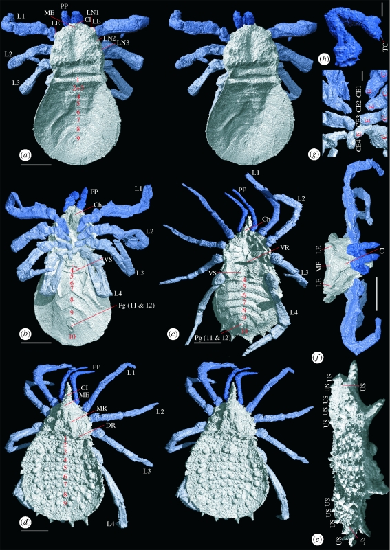 Figure 1.