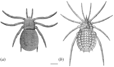 Figure 2.