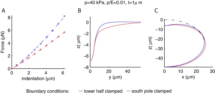 Appendix 6—figure 1.