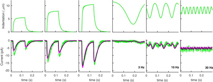 Appendix 3—figure 2.