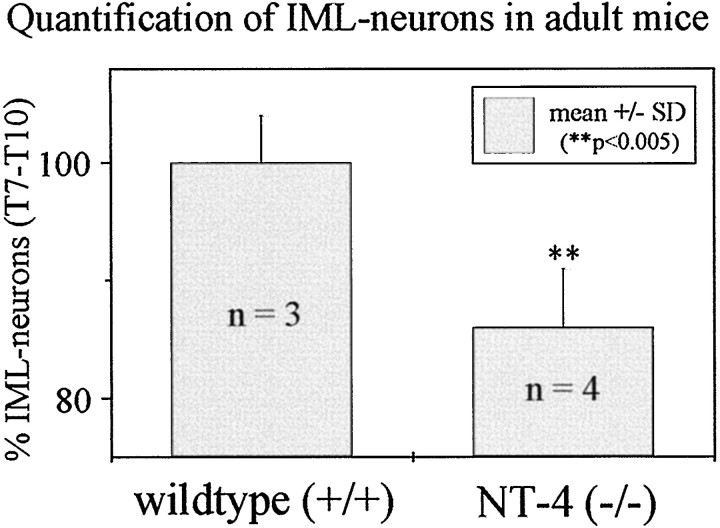 Fig. 11.