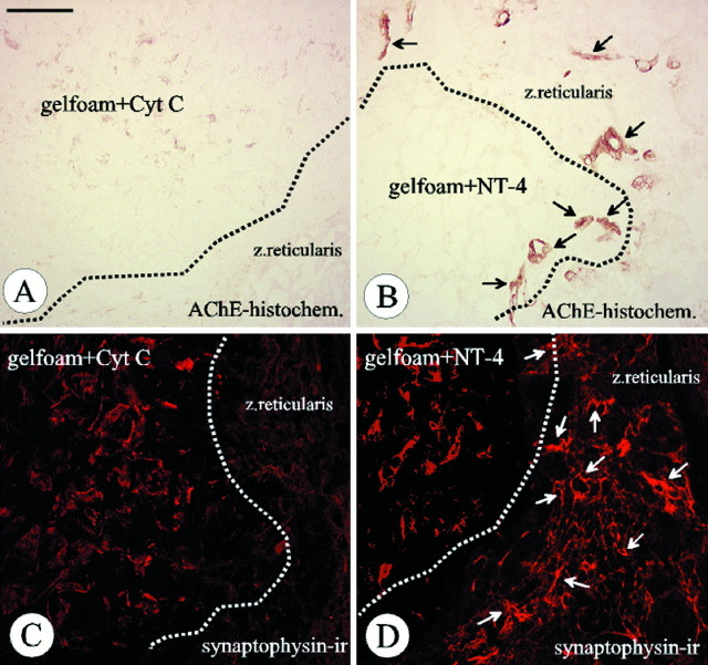 Fig. 8.