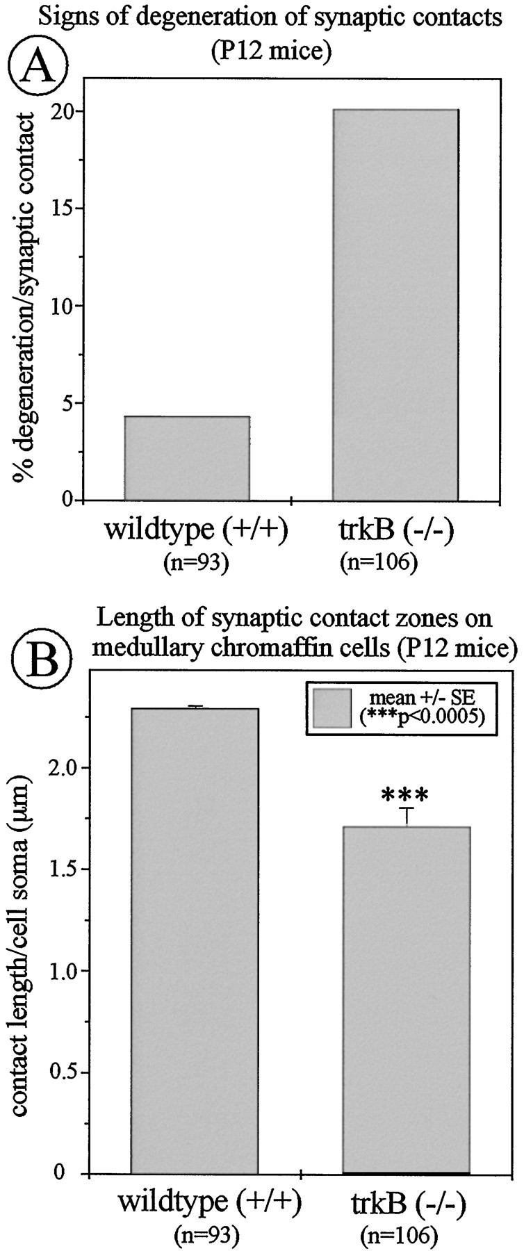 Fig. 9.