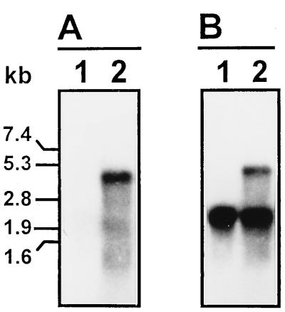 FIG. 8