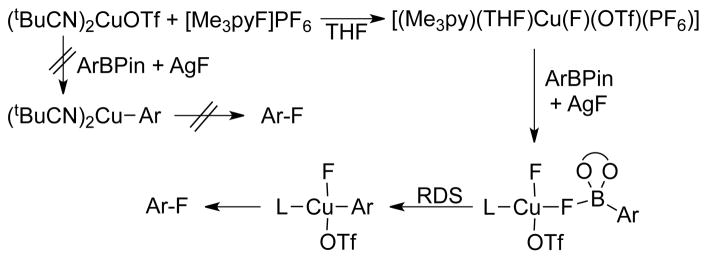 Scheme 5