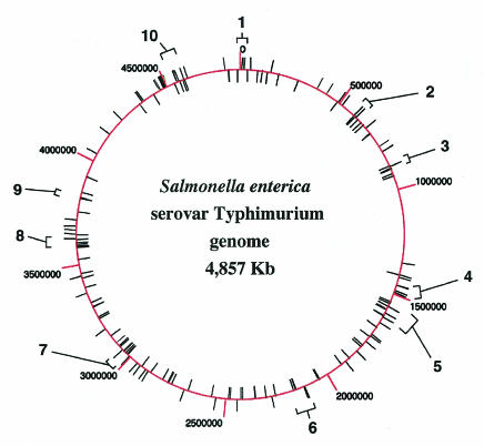 FIG. 3.