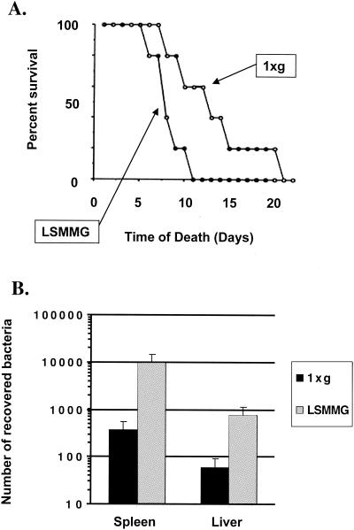 FIG. 2.