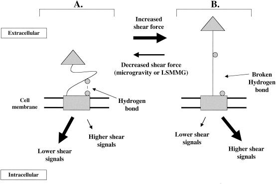 FIG. 5.