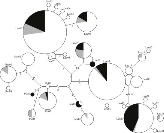 Fig. 3