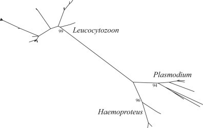 Fig. 4