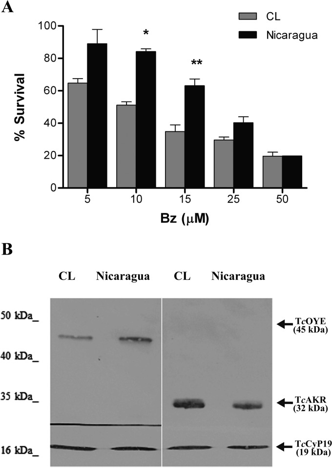 FIG 2