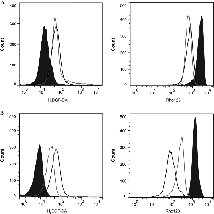 FIG 3