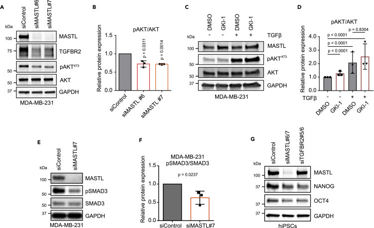 Figure 6