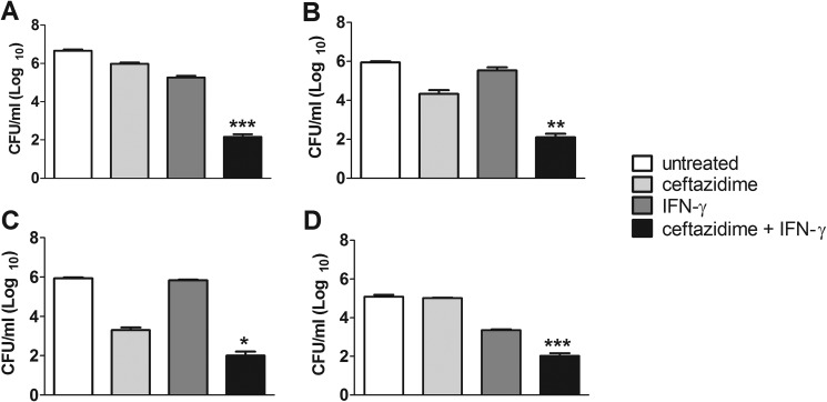 FIG 1