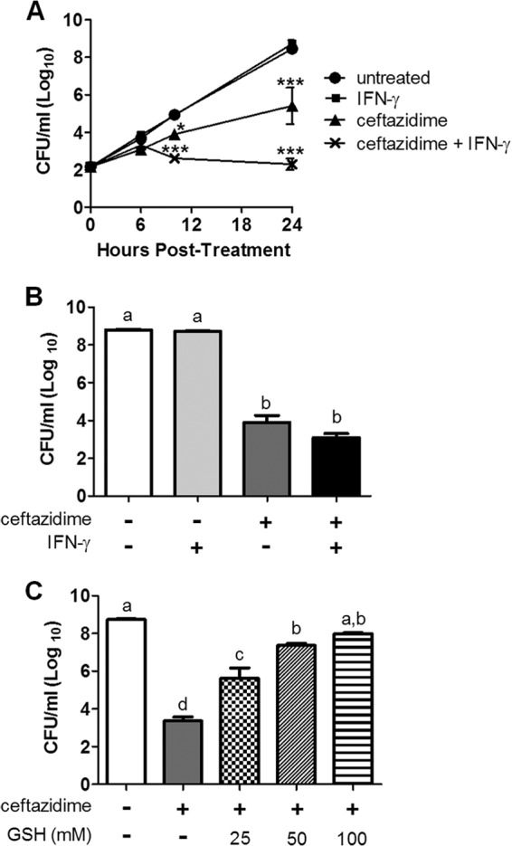 FIG 7