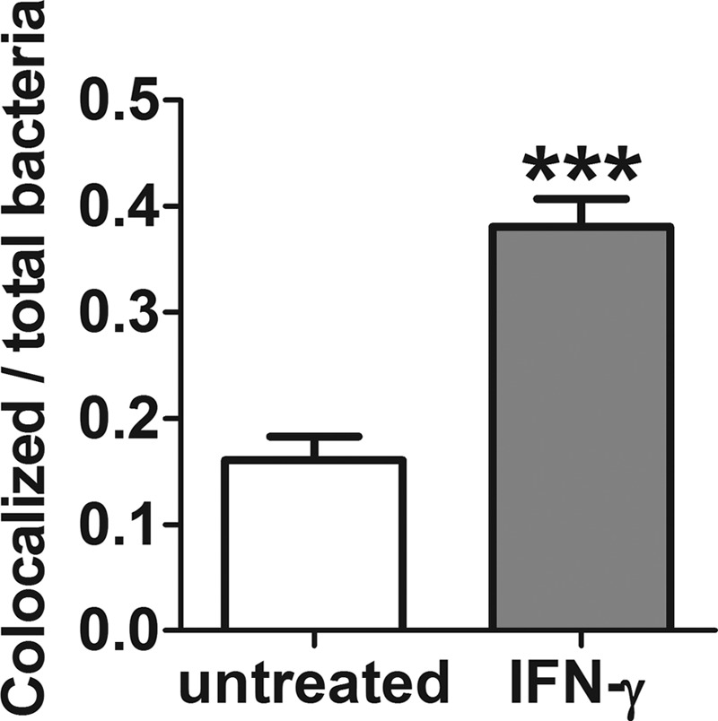 FIG 6