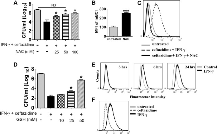 FIG 2