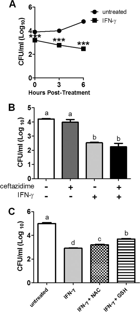 FIG 4