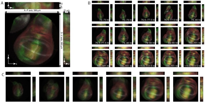 Fig. 6.