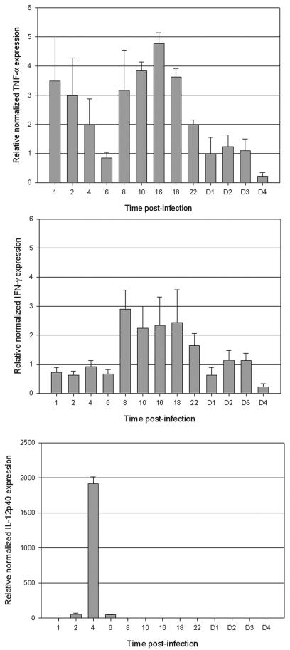 FIG. 2.