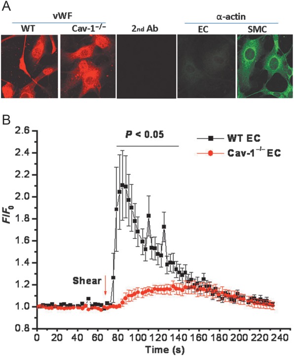 Figure 6