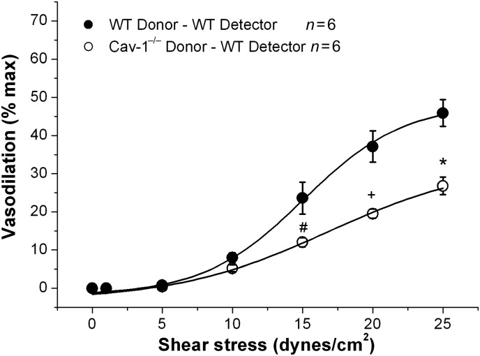 Figure 5