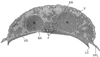 FIG. 8