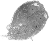 FIG. 9
