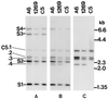 FIG. 13