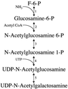 FIG. 11