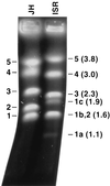FIG. 12