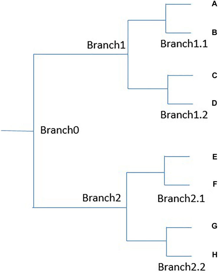 FIGURE 1