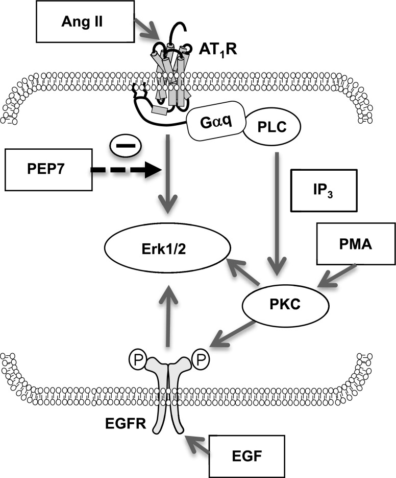 Fig. 9.